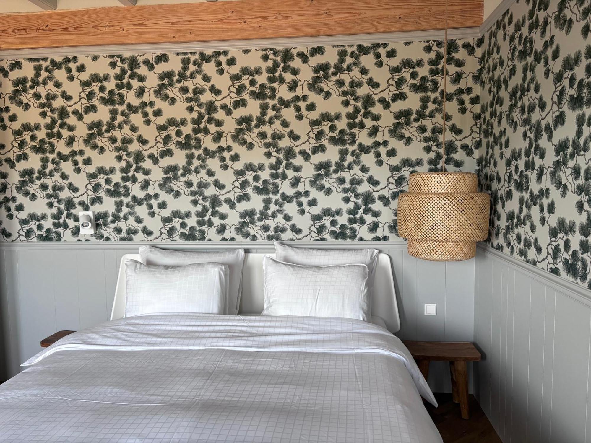 דה קוח B&B In De Duinen מראה חיצוני תמונה